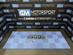 Img 9339