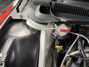 Img 4553